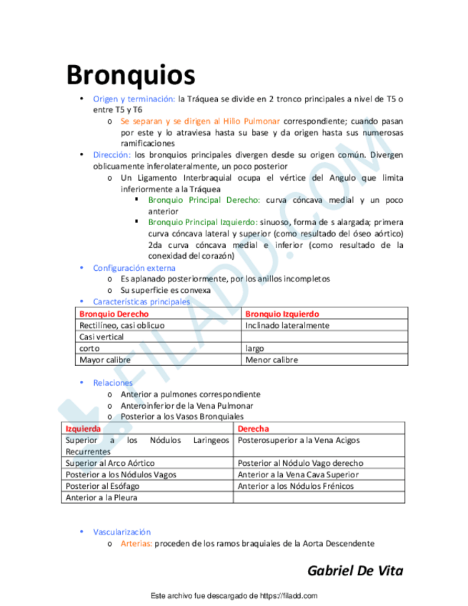 Miniatura del documento ANATOMIA-Bronquios-GABRIEL-DE-VITA.pdf