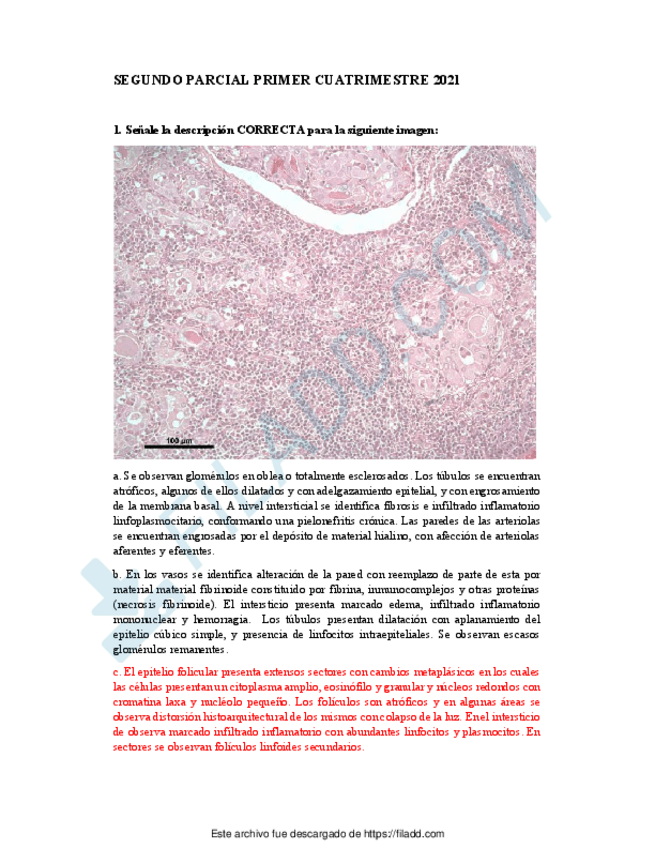 Miniatura del documento Respuestas-correctas-segundo-parcial-primer-cuatrimestre-2021.pdf