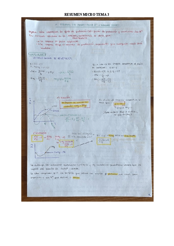 Miniatura del documento RESUMEN-MICROECONOMIA-T3.pdf