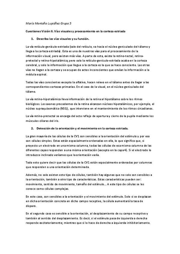 Miniatura del documento preguntas Visión 2.pdf