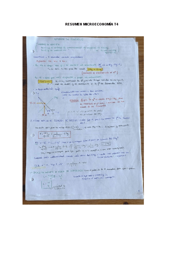 Miniatura del documento RESUMEN-MICROECONOMIA-T4.pdf