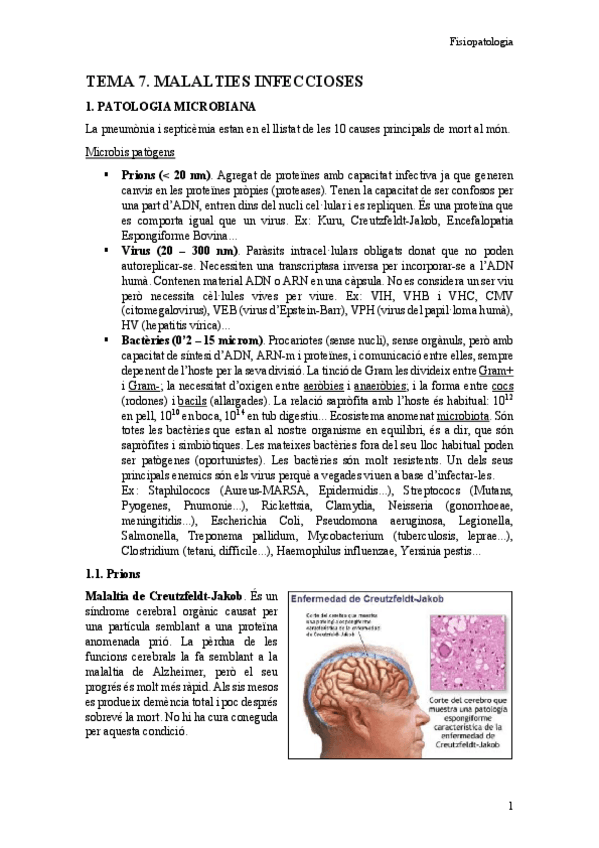 Miniatura del documento TEMA 7. Malalties infeccioses.pdf