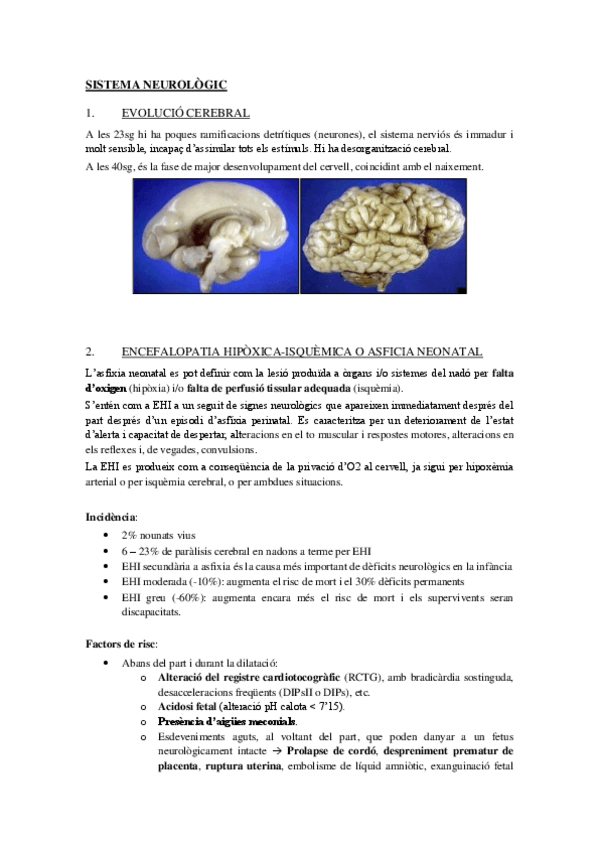 Miniatura del documento 4-SISTEMA-NEUROLOGIC.pdf