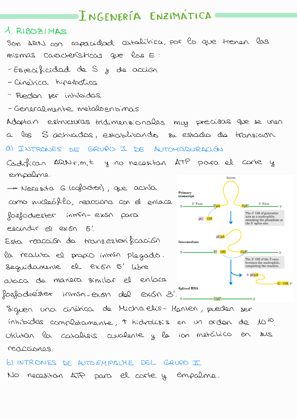 Miniatura del documento Tema-10230522124103.pdf