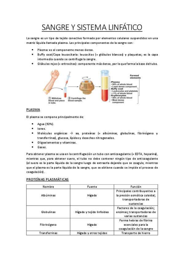 Miniatura del documento Sangre-y-Sistema-Linfatico-Fisiologia-II-1oNHD.pdf