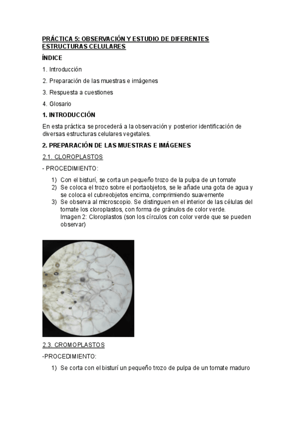 Miniatura del documento PRACTICA-5.-BIOLOGIA.pdf