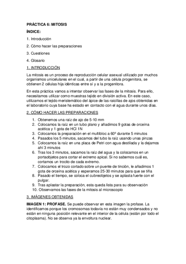 Miniatura del documento PRACTICA-6.BIOLOGIA.pdf