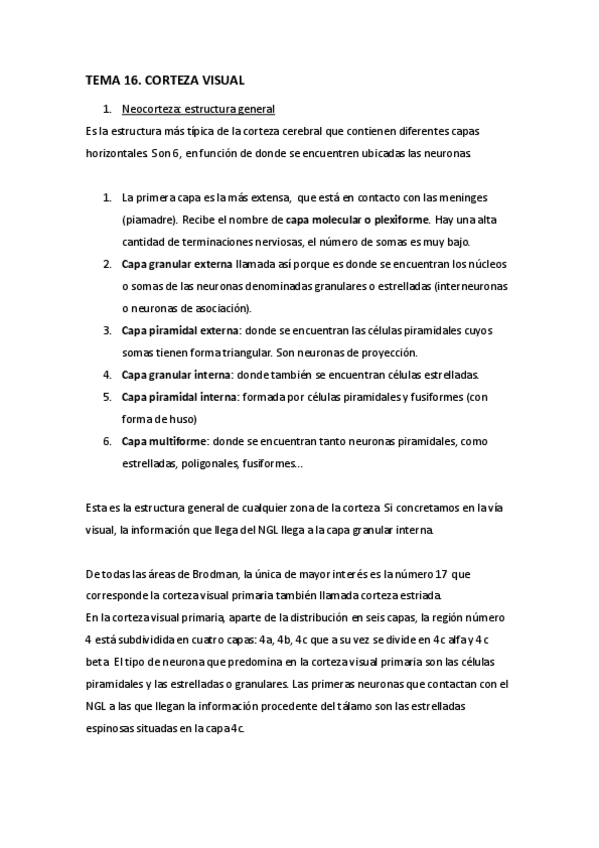 Miniatura del documento Fisio visual III.pdf