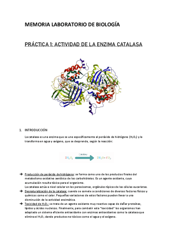 Miniatura del documento MEMORIA-PRACTICA-1.pdf