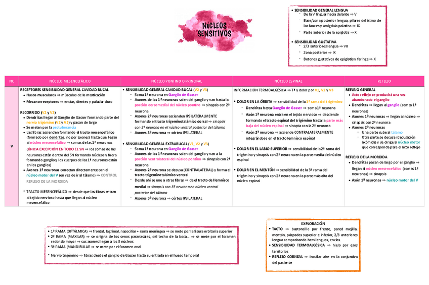 Miniatura del documento Nucleos-sensitivos.pdf