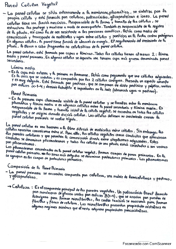 Miniatura del documento APUNTES-BLOQUE-2-BIOLOGIA-VEGETAL.pdf