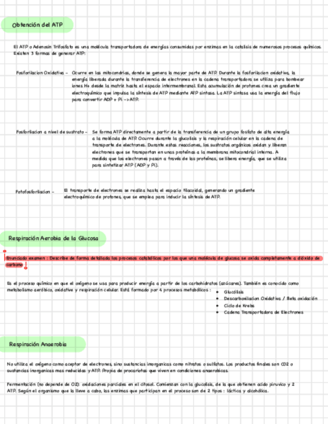 Miniatura del documento APUNTES-BLOQUE-1.pdf