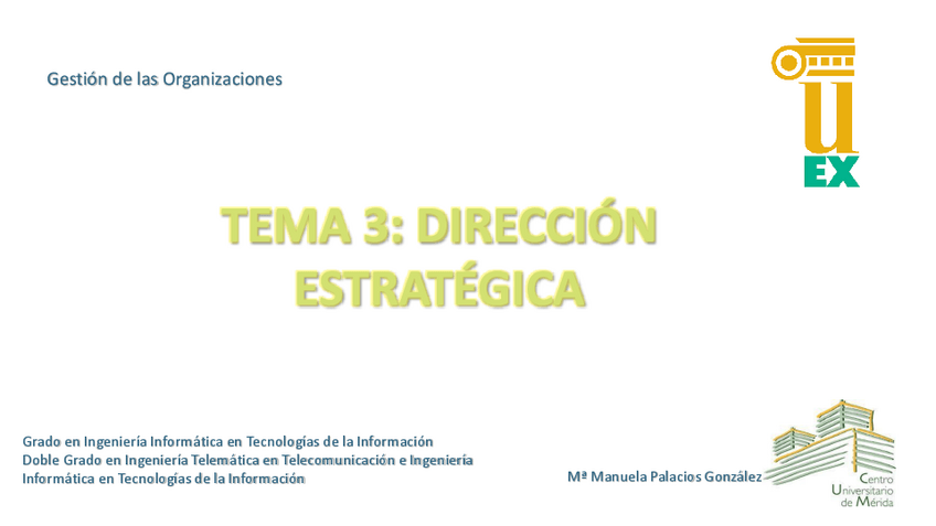 Miniatura del documento tema3direccionestrategica.pdf