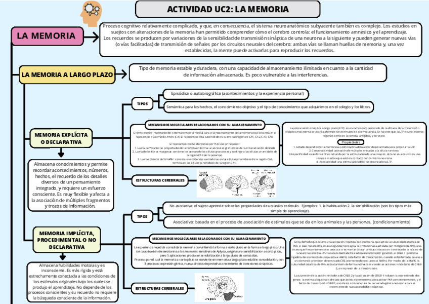 Miniatura del documento UC2-Memoria-trabajo-mapa-conceptual.pdf
