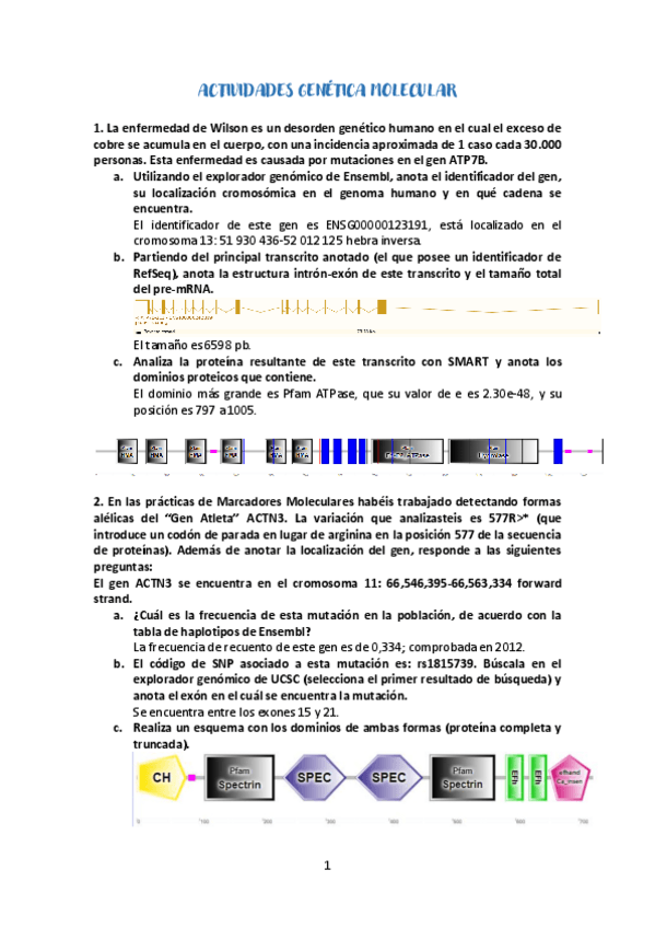 Miniatura del documento Actividades-genetica-22-23.pdf