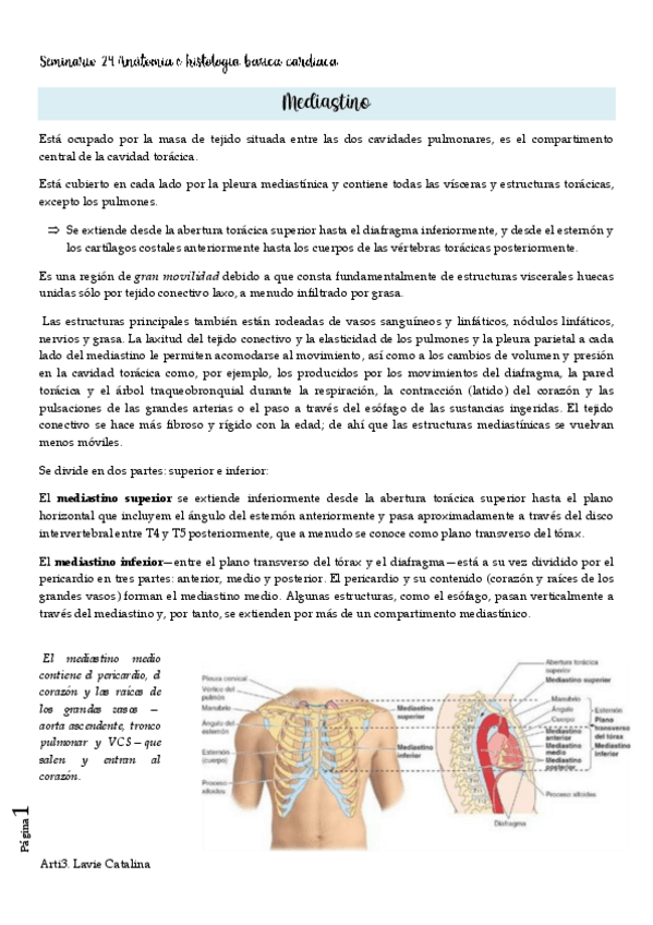 Miniatura del documento Seminario-24-arti.pdf