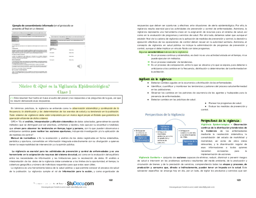 Miniatura del documento n-6-epi.pdf