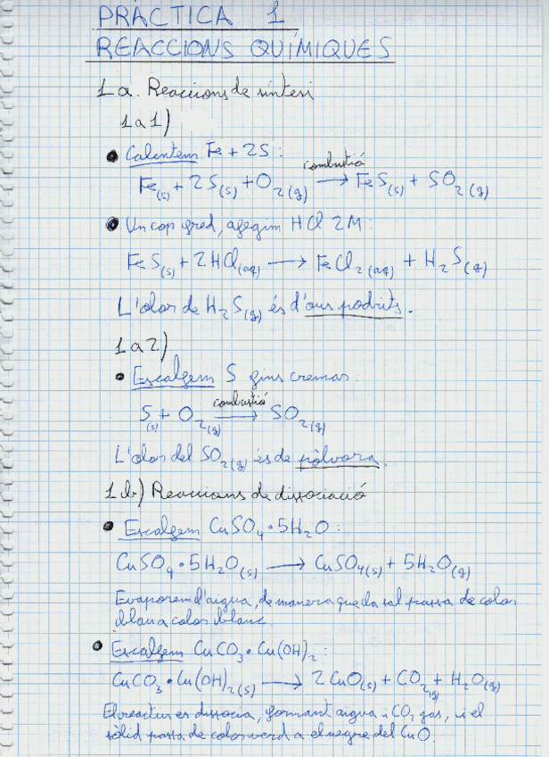 Miniatura del documento Llibreta-laboratoris-quimica.pdf