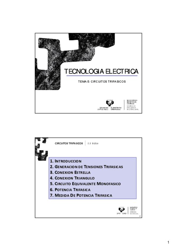 Miniatura del documento TEMA51.pdf