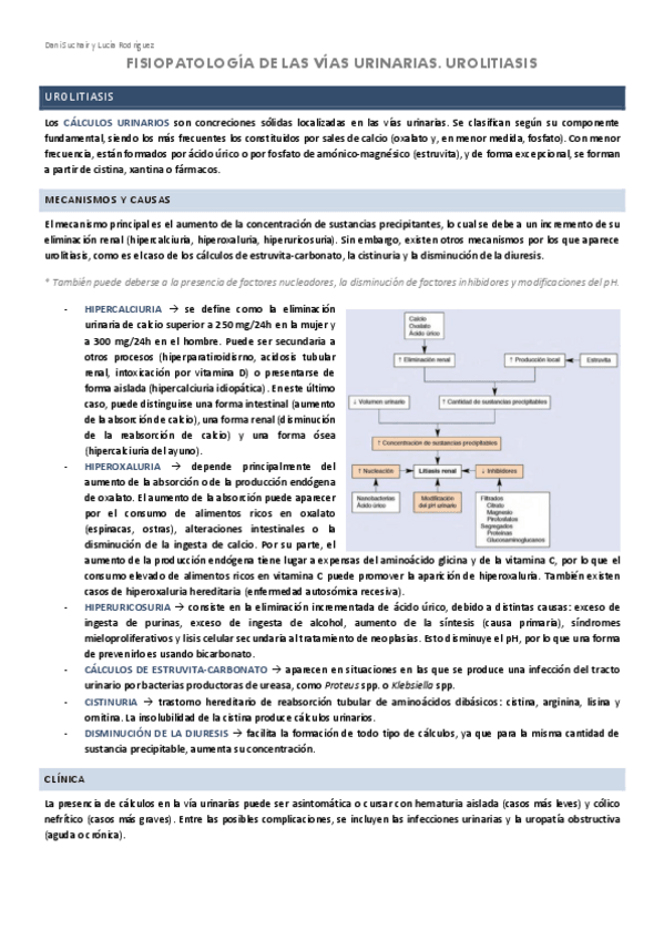 Miniatura del documento RENAL-5-UROLITIASIS-Y-SINDROME-OBSTRUCTIVO.pdf