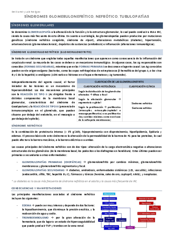 Miniatura del documento RENAL-4-SINDROMES-NEFROTICO-Y-NEFRITICO-NEFROPATIAS.pdf