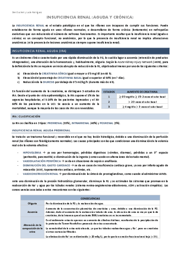 Miniatura del documento RENAL-3-INSUFICIENCIA-RENAL.pdf