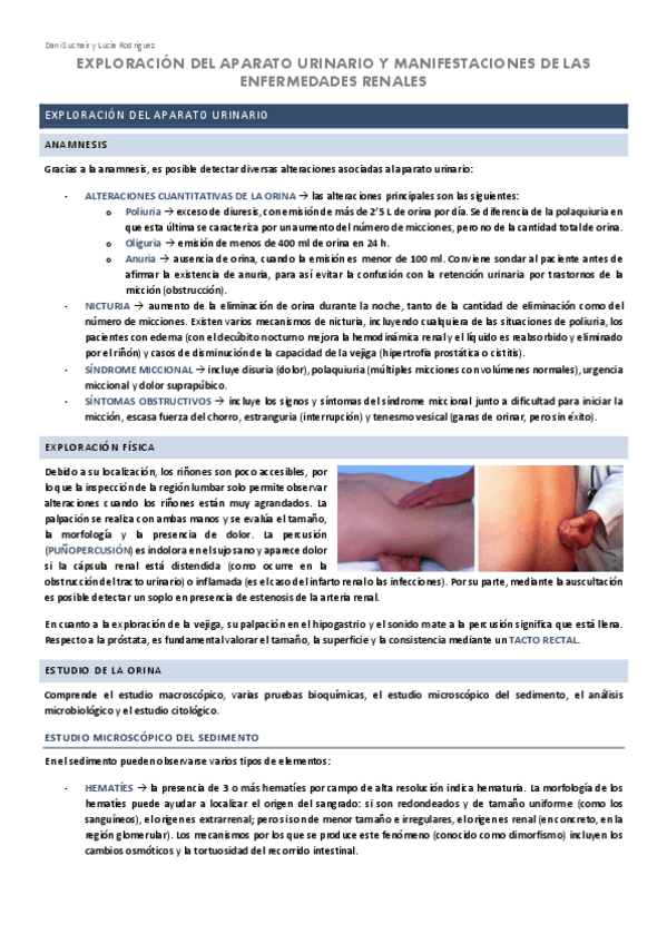 Miniatura del documento RENAL-2-EXPLORACION-Y-MANIFESTACIONES-CLINICAS.pdf