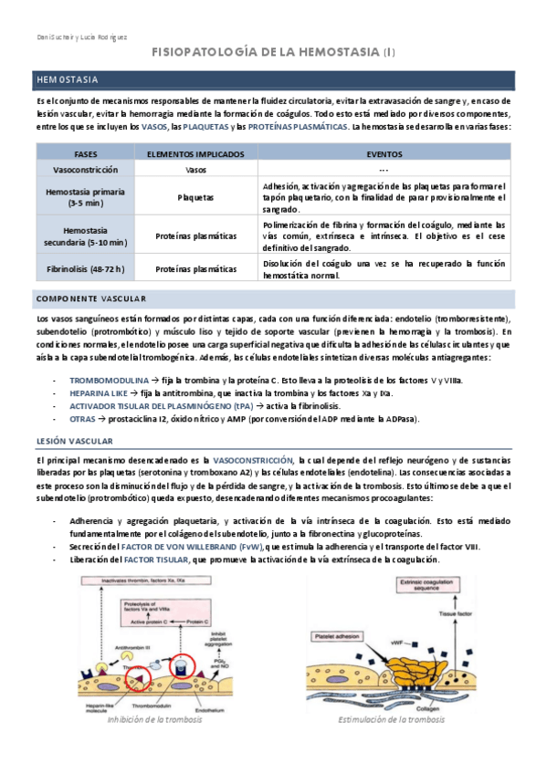 Miniatura del documento HEMATOLOGIA-5-HEMOSTASIA.pdf