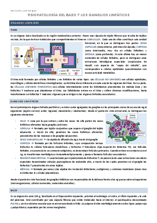 Miniatura del documento HEMATOLOGIA-4-FISIOPATOLOGIA-DEL-BAZO-Y-LOS-GANGLIOS-LINFATICOS.pdf