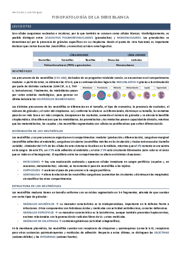 Miniatura del documento HEMATOLOGIA-3-FISIOPATOLOGIA-DE-LA-SERIE-BLANCA.pdf
