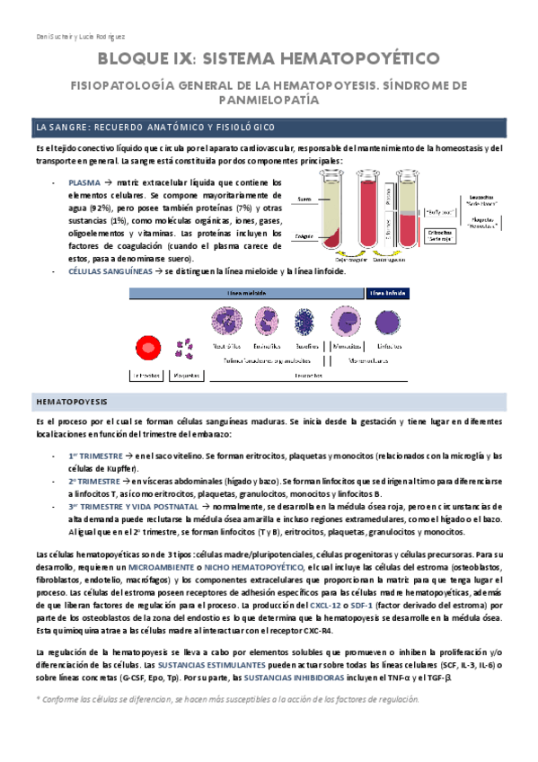 Miniatura del documento HEMATOLOGIA-1-GENERALIDADES-Y-SINDROMES-DE-PANMIELOPATIA.pdf