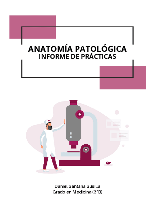 Miniatura del documento INFORME-DE-PRACTICAS.pdf