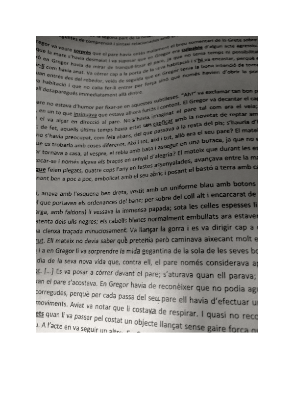 Miniatura del documento Catalan-1r-bachi.pdf