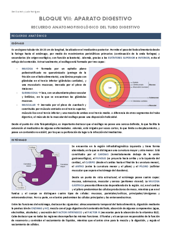 Miniatura del documento DIGESTIVO-1-RECUERDO-ANATOMOFISIOLOGICO.pdf