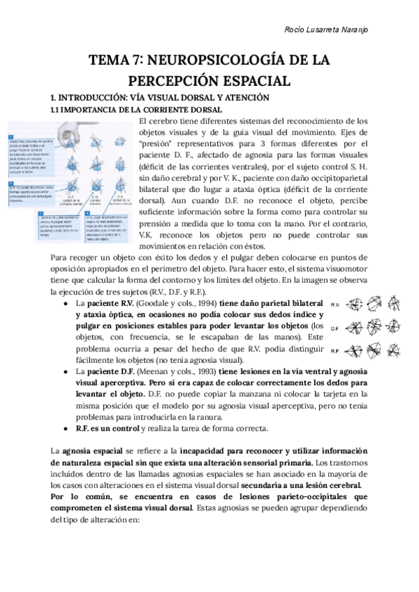 Miniatura del documento APUNTES-NEUROPSICOLOGIA-TEMAS-7-9.pdf