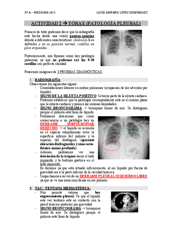 Miniatura del documento Actividad-2-word.pdf
