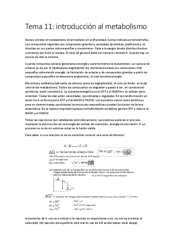 Miniatura del documento Tema 11.pdf
