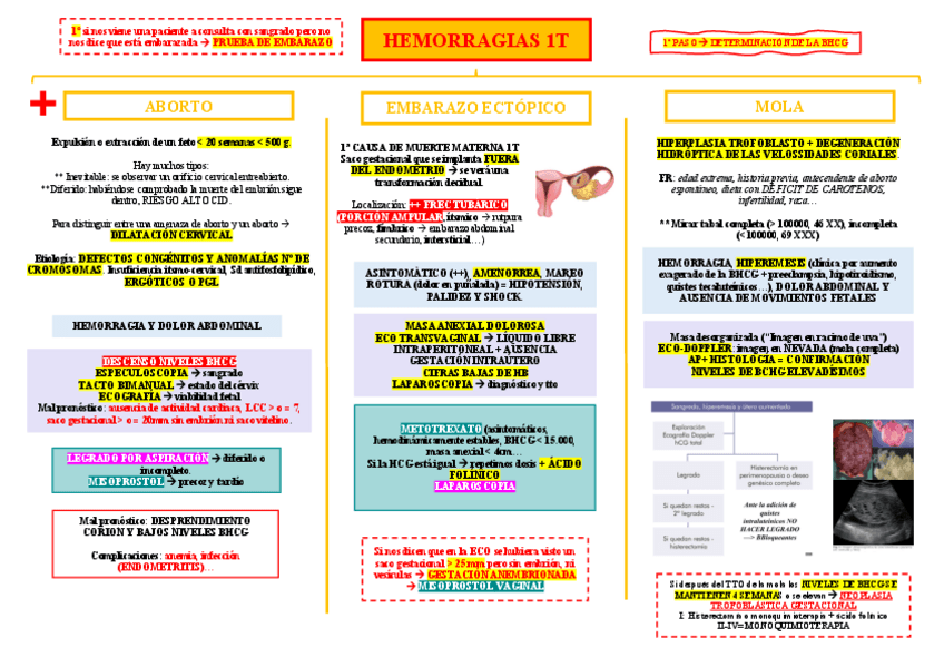 Miniatura del documento HEMORRAGIAS-1T.pdf