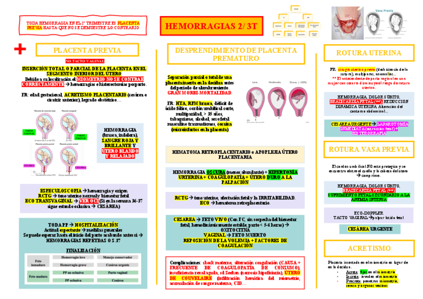 Miniatura del documento HEMORRAGIAS-2T.pdf