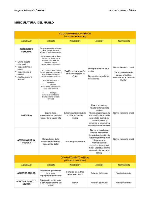 Miniatura del documento MUSCULATURA MUSLO.pdf