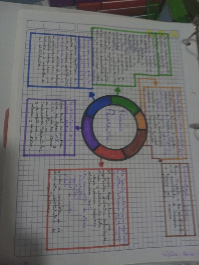 Miniatura del documento mapa-conceptual.jpeg