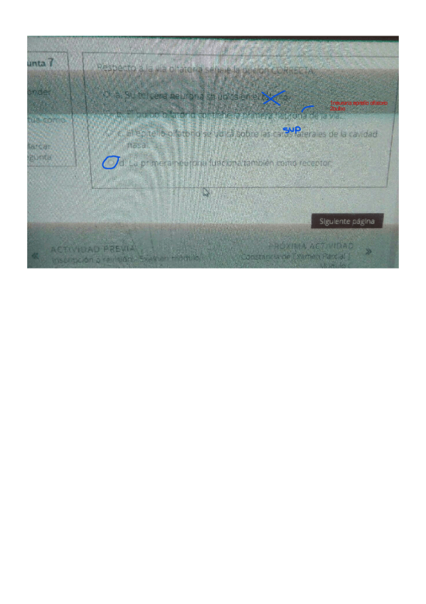 Miniatura del documento EXAMANES-OFTA-ONLINE-3.pdf