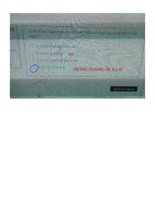 Miniatura del documento EXAMANES-OFTA-ONLINE-2.pdf