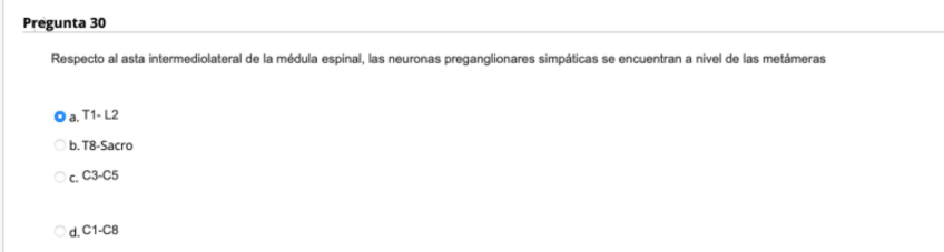 Miniatura del documento Parcial-ANATO-II-2023.pdf