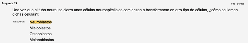 Miniatura del documento Examenes-tests-embrio-2023.pdf