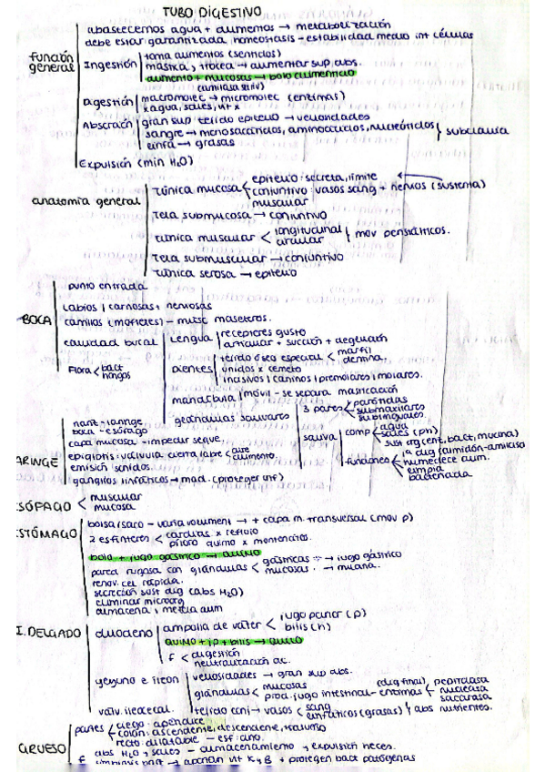 Miniatura del documento tubo-digestivo.pdf