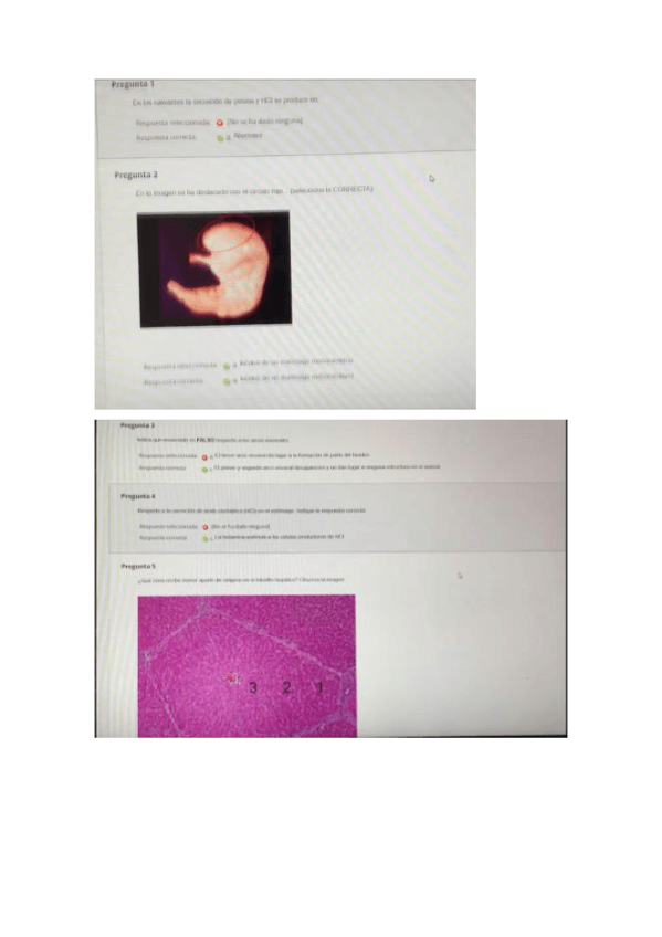 Miniatura del documento EXAMEN-SISTEMAS-1.pdf