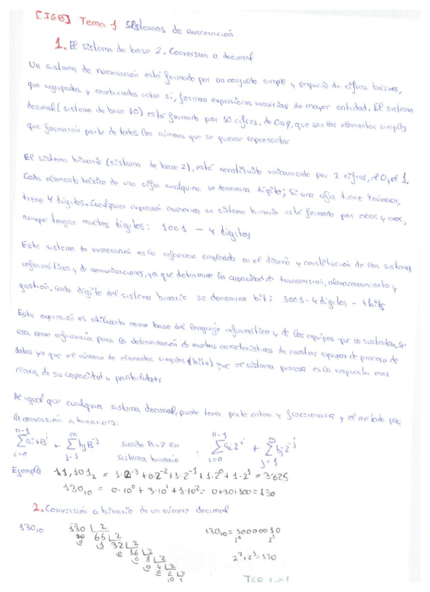 Miniatura del documento MACRORESUMEN IGB.pdf