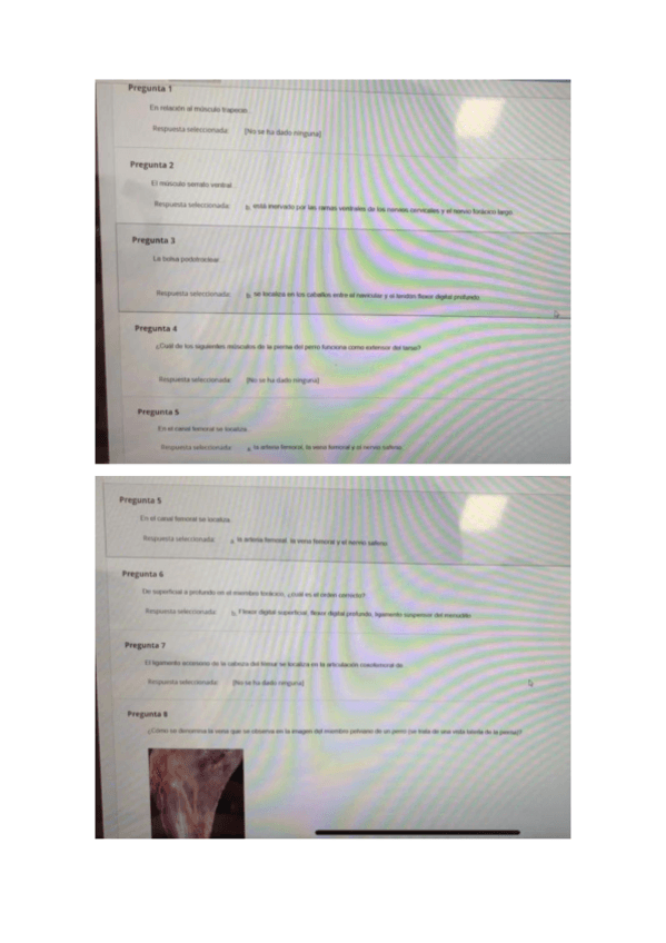 Miniatura del documento ANATOMIA-2-examen-enero-22.pdf