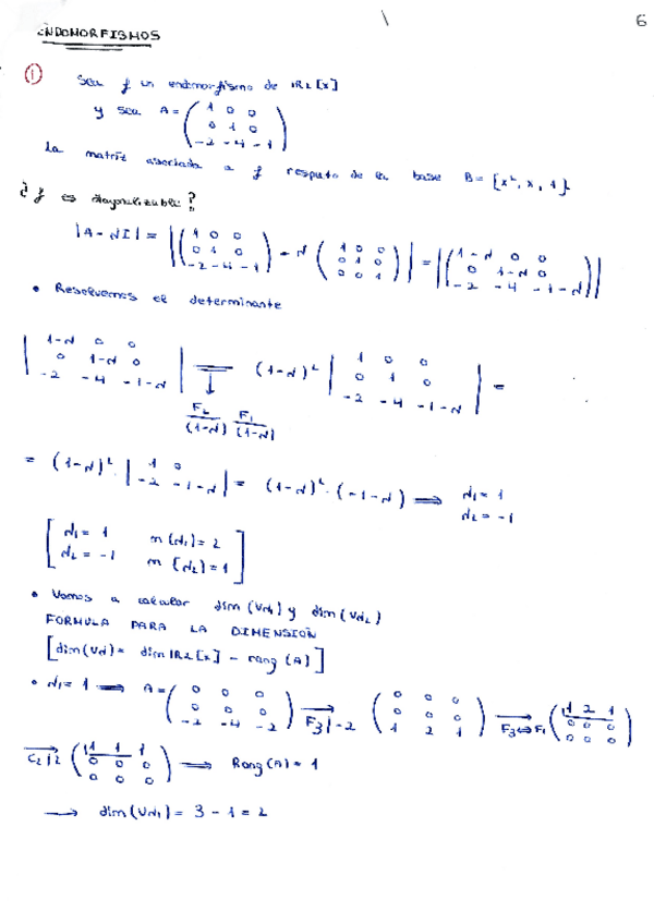 Miniatura del documento Problemas-plateados-y-resueltos-sobre-Endomorfismos.pdf